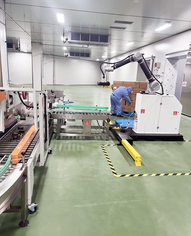 12Kg 20Kg 25Kg 30Kg Collaborative Palletizer Robot - Jinchaoyue ...